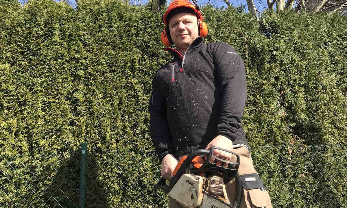 Baumfällen Mirko Wagner bei der Arbeit der Baumfällung in Nürnberg