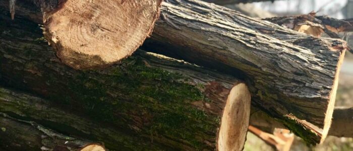 Real Estate Listings slideshow